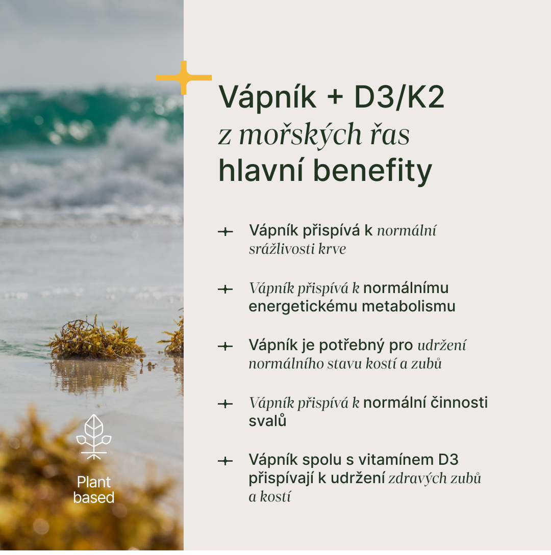 Calcium + D3/K2 - Obrázek 3